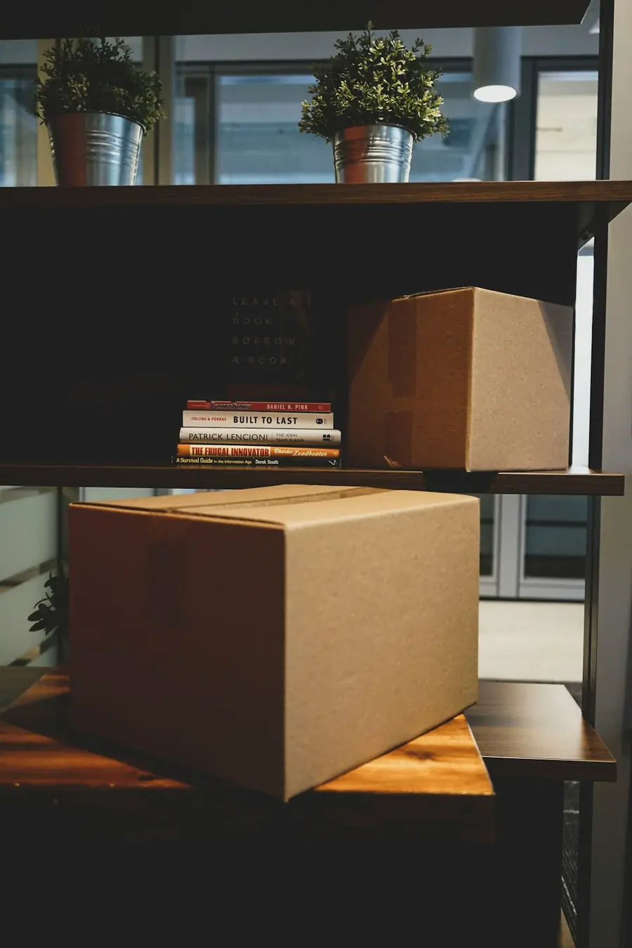 Boeken, dozen en planten op een stellage